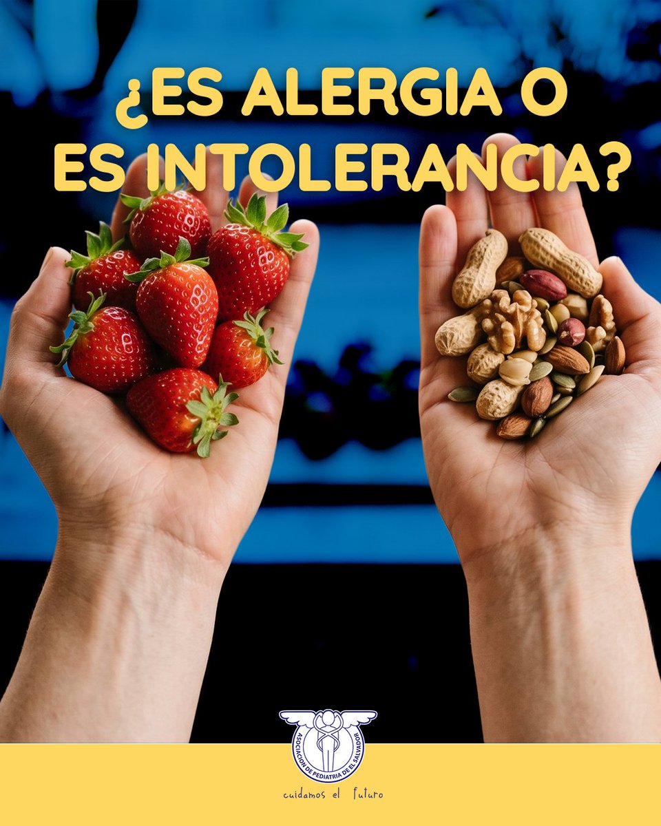 ASOPEDES's tweet photo. ¿Miedo a que la comida le caiga mal a tu hijo? 🥣⚠️ La hora de comer no debe ser angustiante.

Identificar si es intolerancia o alergia te devuelve el control. Observa: ¿Es solo digestivo o afecta piel y respiración? 👀 

La clave está en un diagnóstico claro. 🤝💙 https://t.co/SQwGSthD72