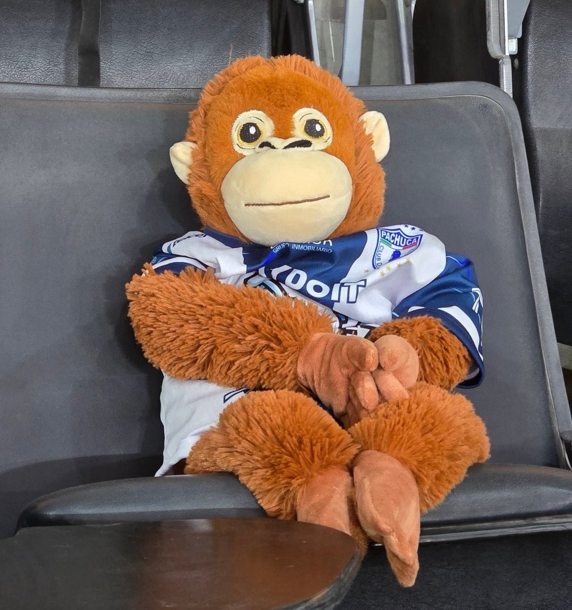 Playdoit México tweet media