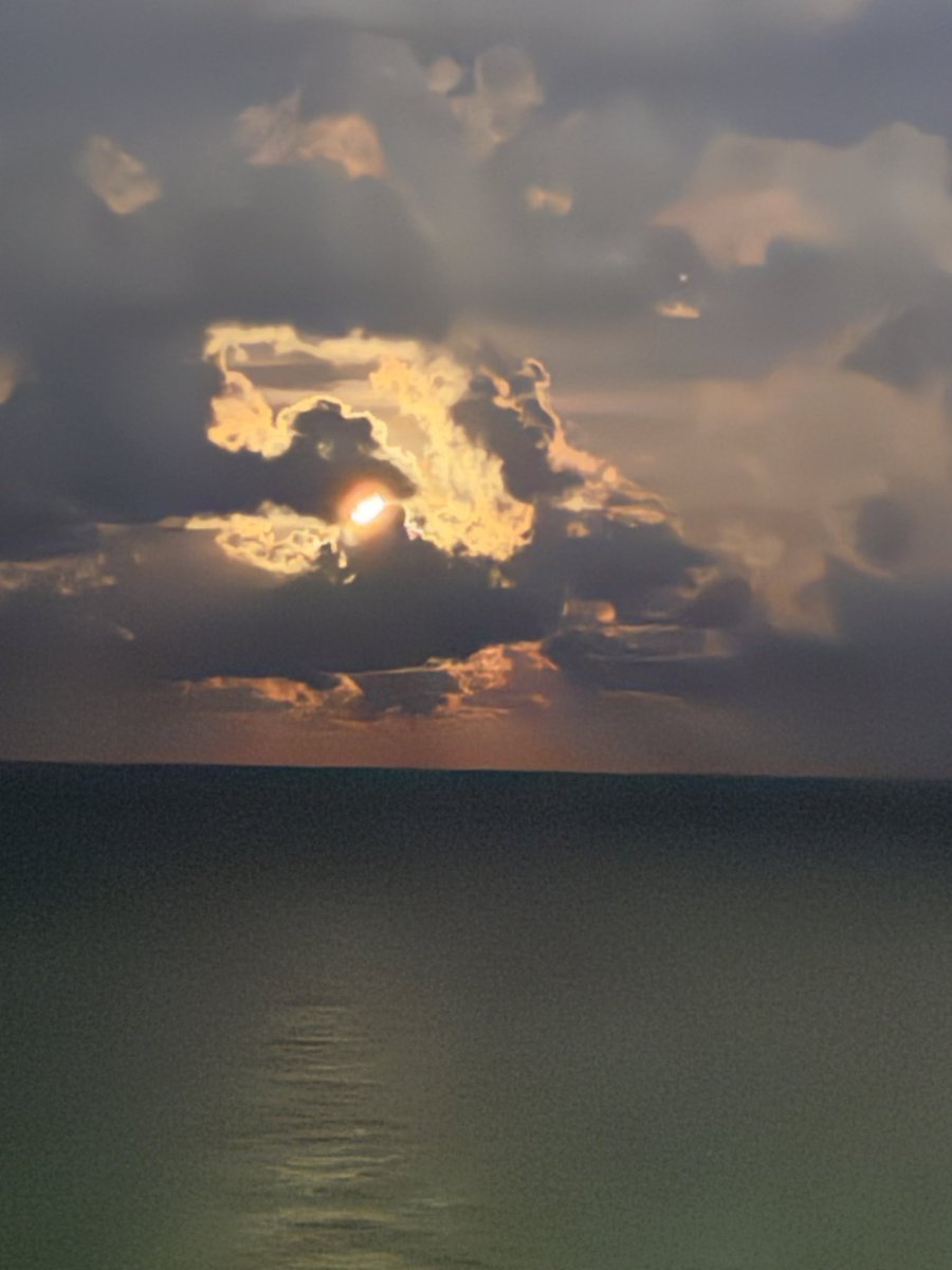 Marshmallow tweet media