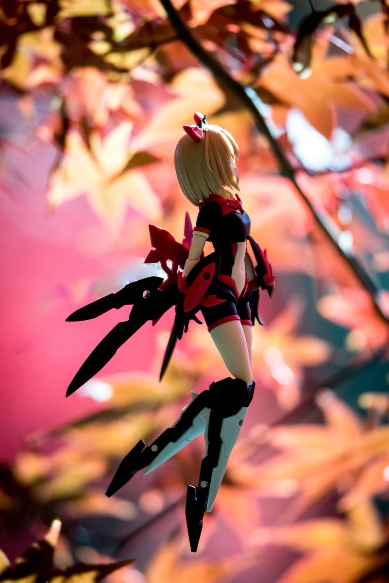 ふくねこ＠（のりお） tweet media