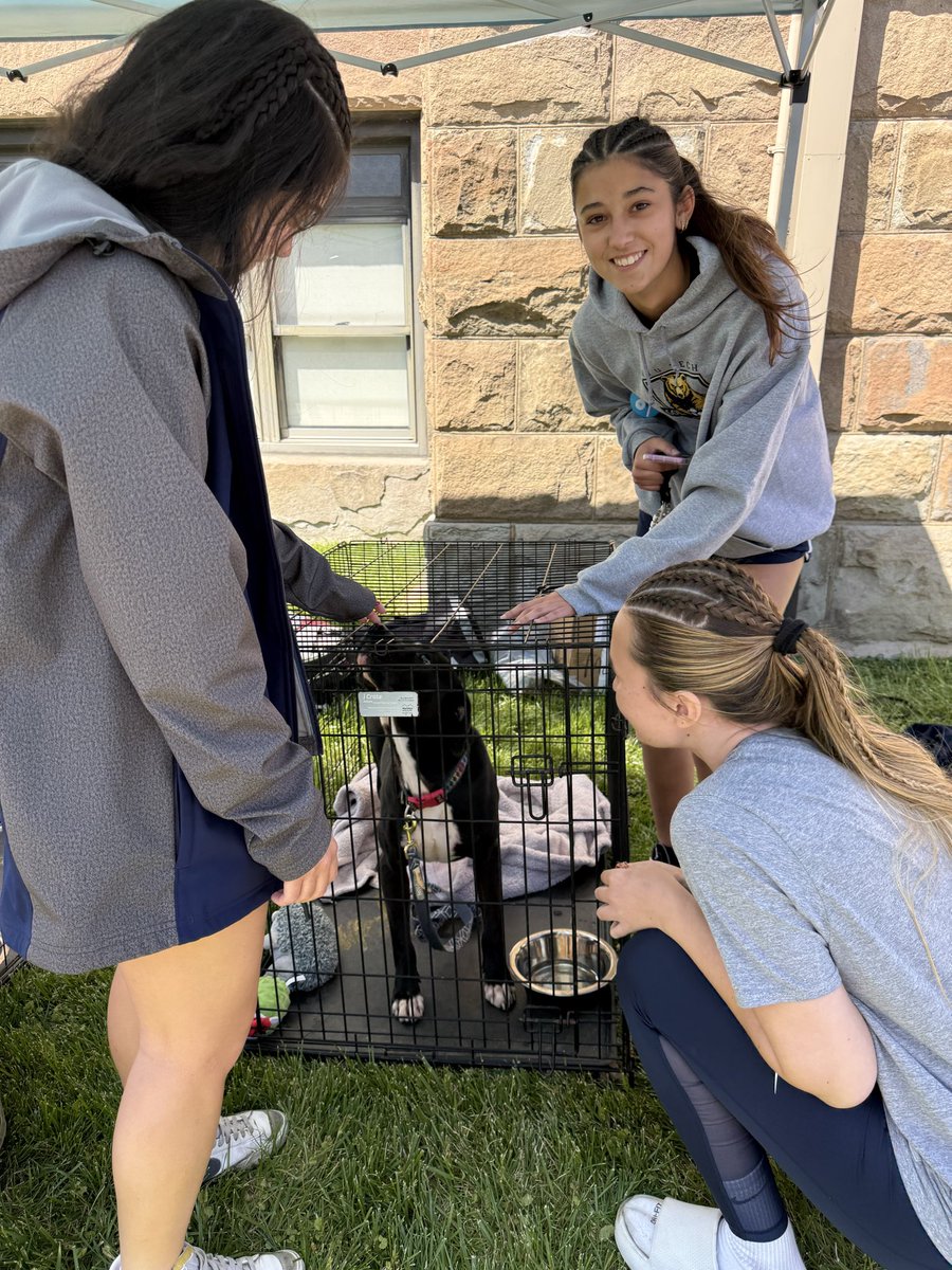 tpusawvutech's tweet photo. We had a PAWesome day on campus with the Humane Society of Raleigh County! 🐾❤️

Thank you to everyone who not only stopped by and talked with us about TPUSA, but also gave these sweet dogs some love!

#TPUSA #turningpointusa #wvutech  @tpusastudents https://t.co/y29JfWXWfr