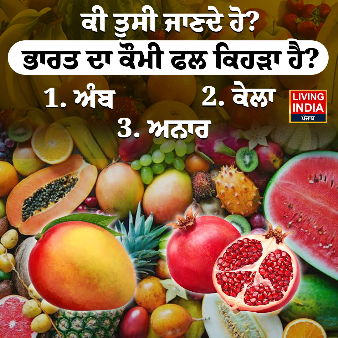 LiPunjab's tweet photo. ਕੀ ਤੁਸੀ ਜਾਣਦੇ ਹੋ?
ਭਾਰਤ ਦਾ ਕੌਮੀ ਫਲ ਕਿਹੜਾ ਹੈ?

1. ਅੰਬ
2. ਕੇਲਾ
3. ਅਨਾਰ

#DidYouKnow #NationalFruit #IndiaGK #GeneralKnowledge #KnowledgeBoost
#StudyFacts #LivingIndiaNews https://t.co/wkIYc7xYnZ