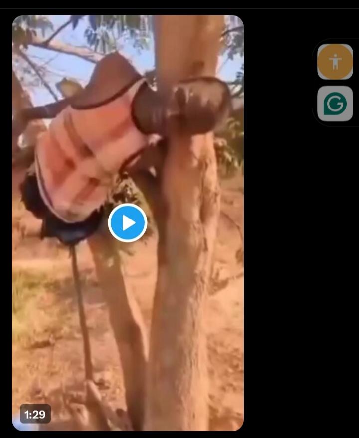 Bro. Bonaventure tweet media