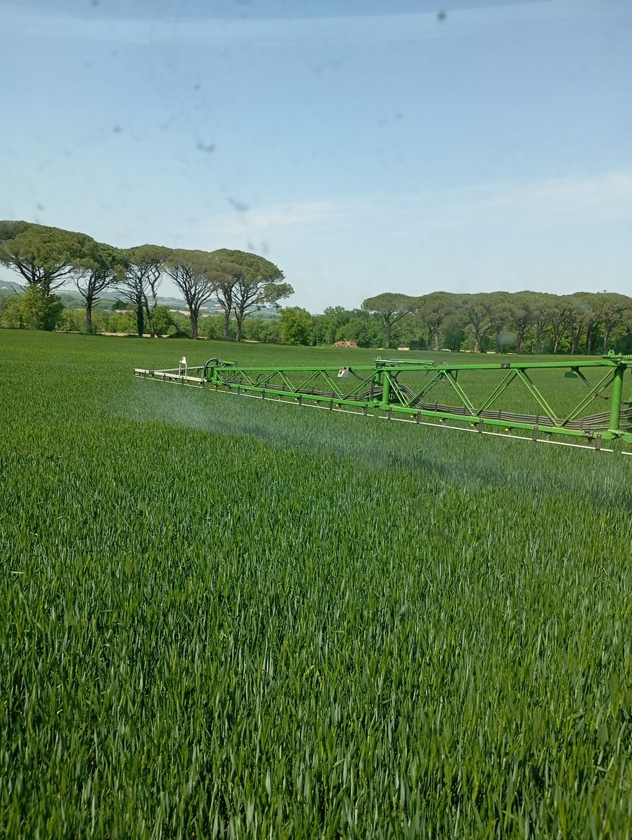 cedricows's tweet image. On débute les fongis #cereales avant que le vent d'autan se lève. Epiaison des #blé et des #orges
#FrAgTw