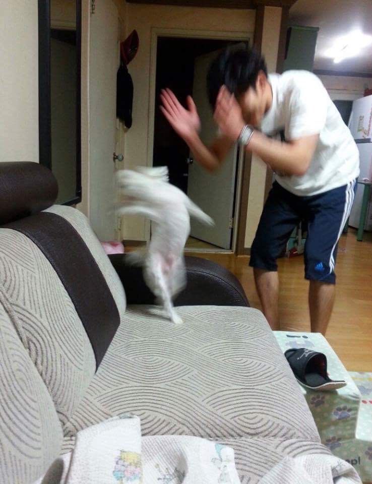 냉곤대_ㅌㅊㅅ tweet media