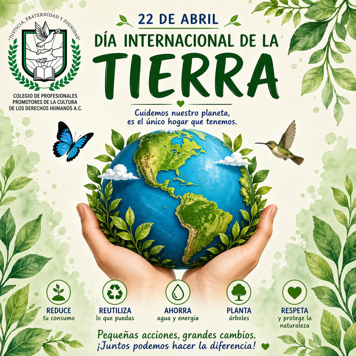 Colegio de Profesionales Promotores de la CDH tweet media