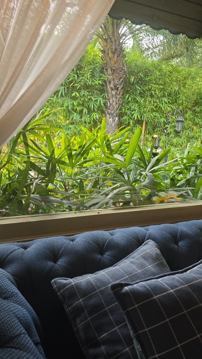 chezephyr's tweet image. Green and blue kind of day #Colors