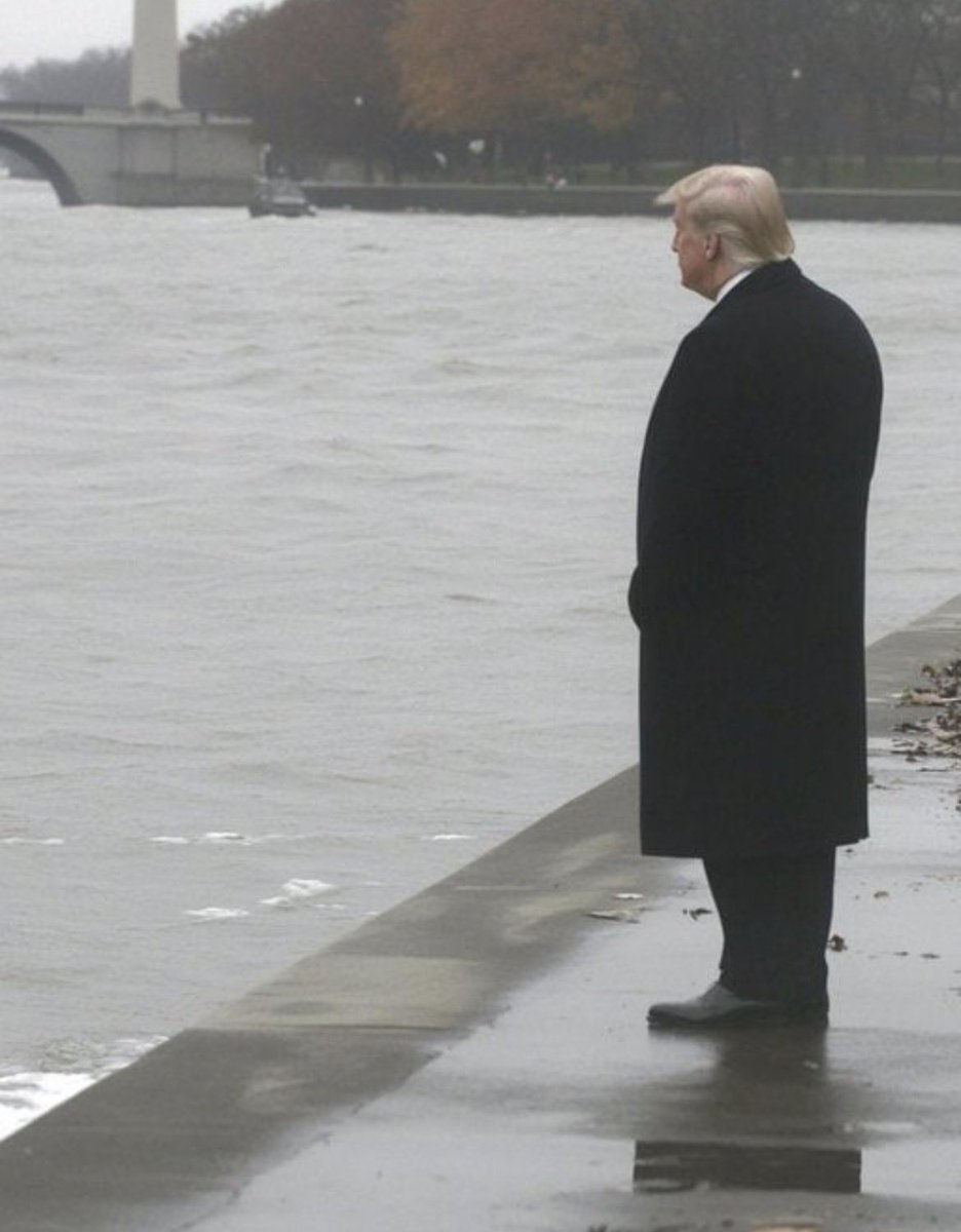 Perps Galore tweet media