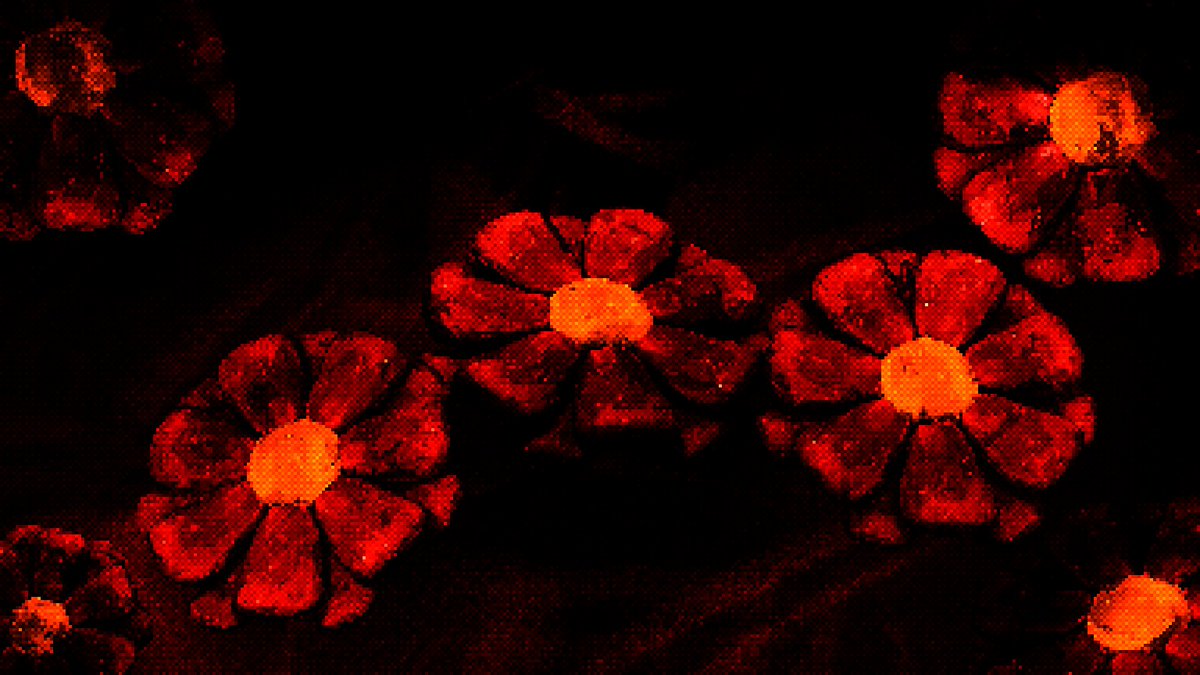 LivkinOne's tweet photo. Dark flowers #b3d #3DCG #pixelart https://t.co/cLG4hJc7E7