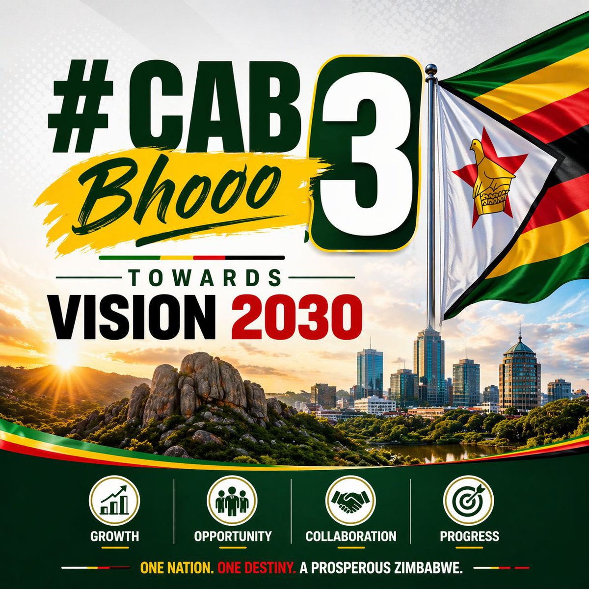 Ronnie Ncube tweet media