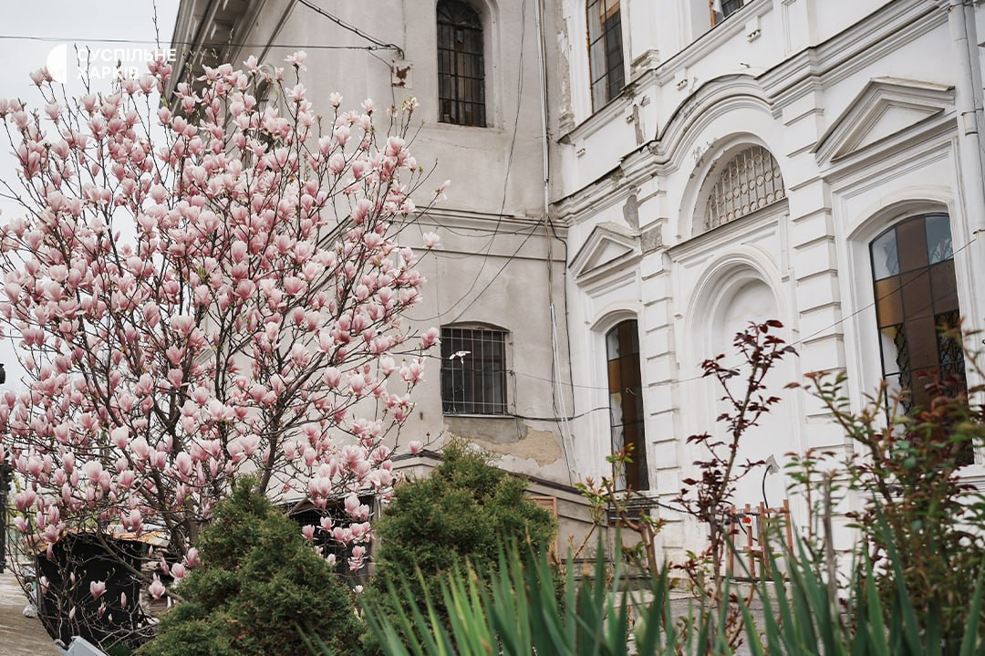 Kate from Kharkiv tweet media