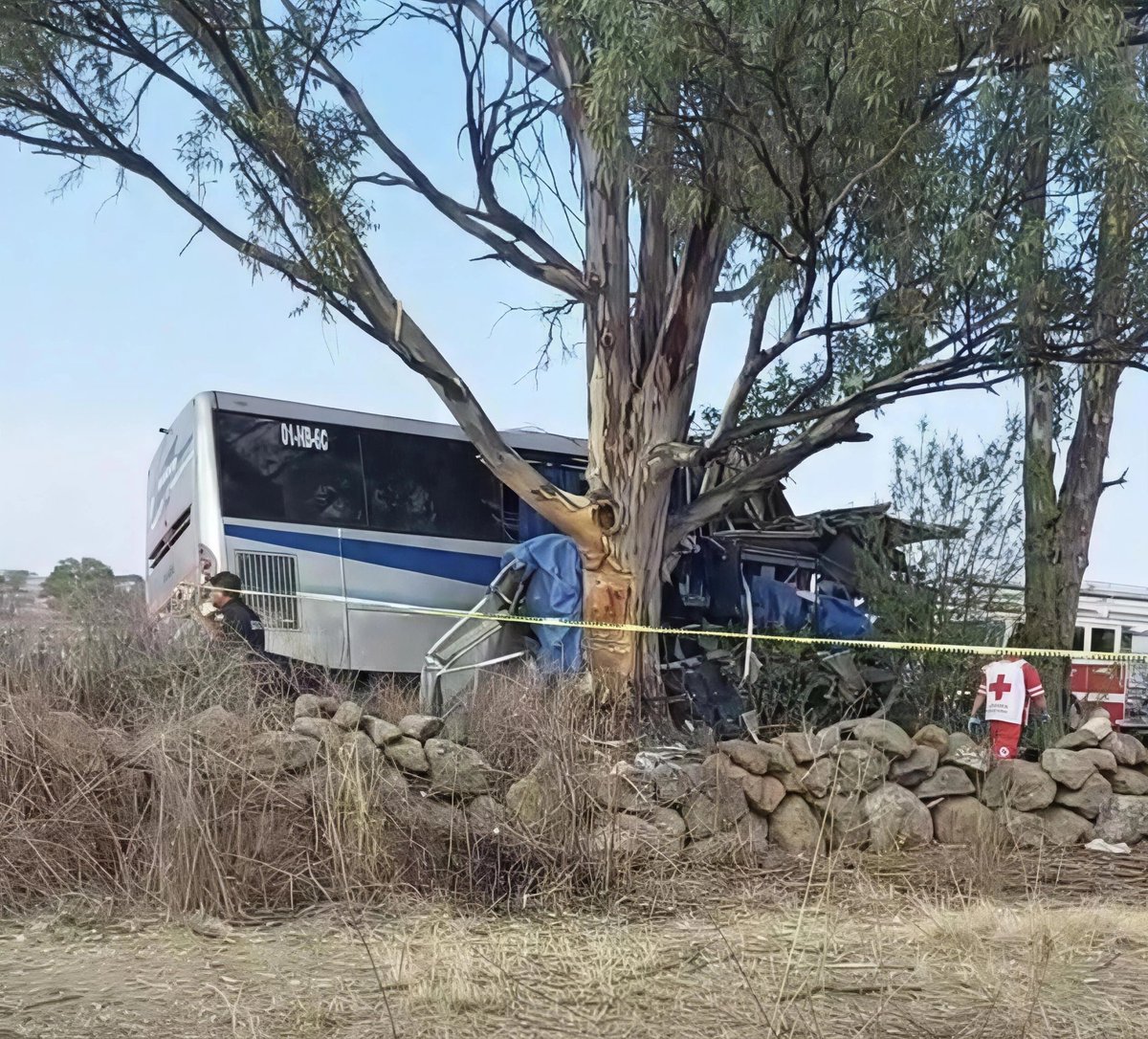 EdoMexInf's tweet image. Abr 22, 2026 | 9:00 am | Querétaro | Terrible accidente en la Carretera San Juan del Río - La Muralla, en La Laborcilla. Un autobus de la línea Amealcences se impactó contra un árbol. Preliminarmente se habla de 8 personas sin vida y decenas de lesionados. #Choque #Accidente