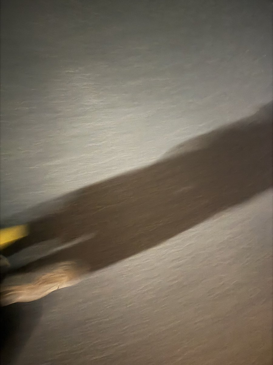 宇野 千歳 (@uc_main) on Twitter photo 