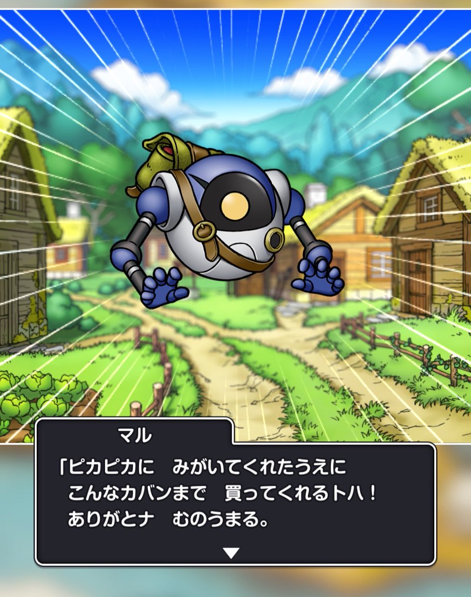 イカ丸 tweet media