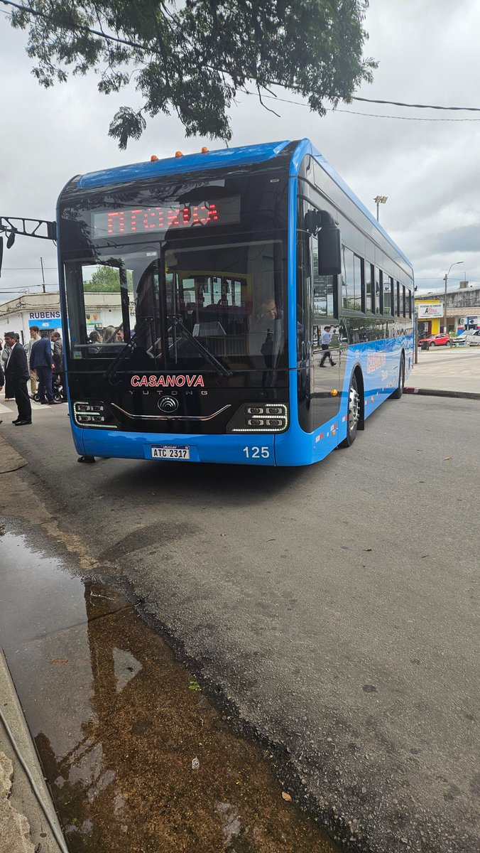 Gonzalo Márquez tweet media