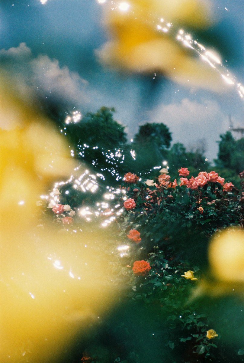 Lula Japan ルラ ジャパン tweet media