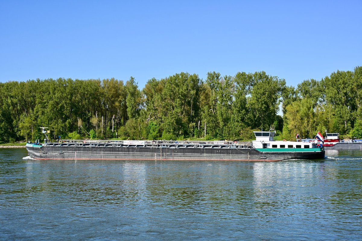 de_zeerover's tweet image. Spaziergang am 🌊 Rhein, bei herrlichem Frühlingswetter mit 🌞 Sonnenschein. Die 🚢 Schiffe fahren, leise brummend, auf dem ruhig dahin fließenden Strom. Dabei kann man die 🧘‍♂️ Seele baumeln lassen und sich wirklich entspannen. 😀 #Rhein #Bonn 🇩🇪