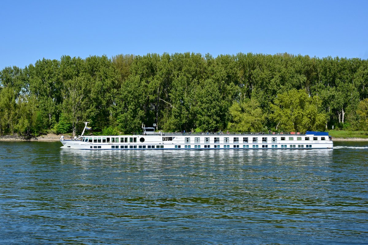 de_zeerover's tweet image. Spaziergang am 🌊 Rhein, bei herrlichem Frühlingswetter mit 🌞 Sonnenschein. Die 🚢 Schiffe fahren, leise brummend, auf dem ruhig dahin fließenden Strom. Dabei kann man die 🧘‍♂️ Seele baumeln lassen und sich wirklich entspannen. 😀 #Rhein #Bonn 🇩🇪