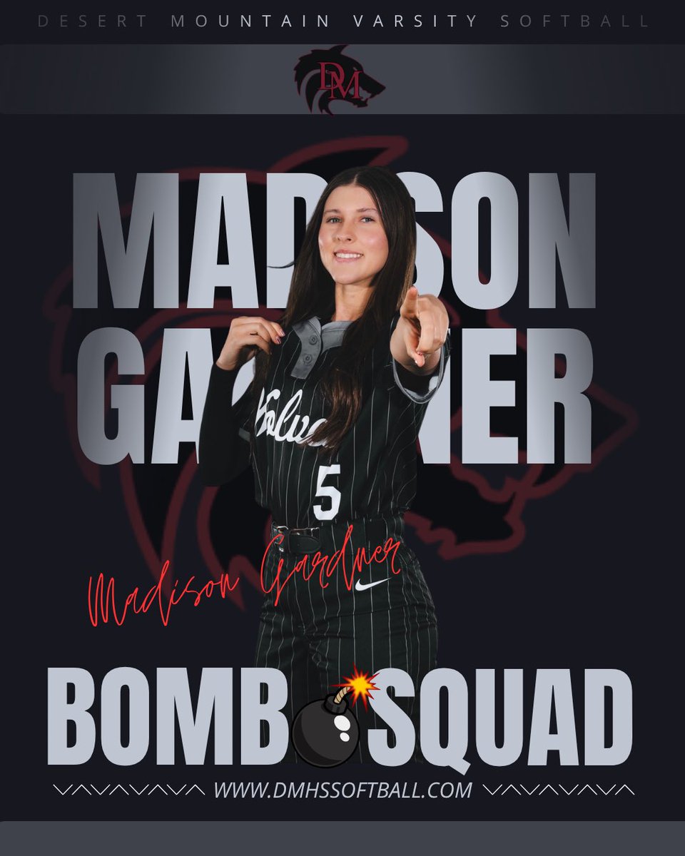 Desert Mountain High School Softball tweet media