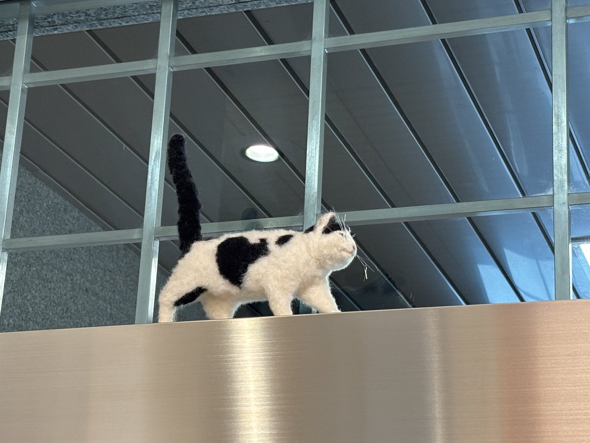 新見美術館【公式X】 tweet media