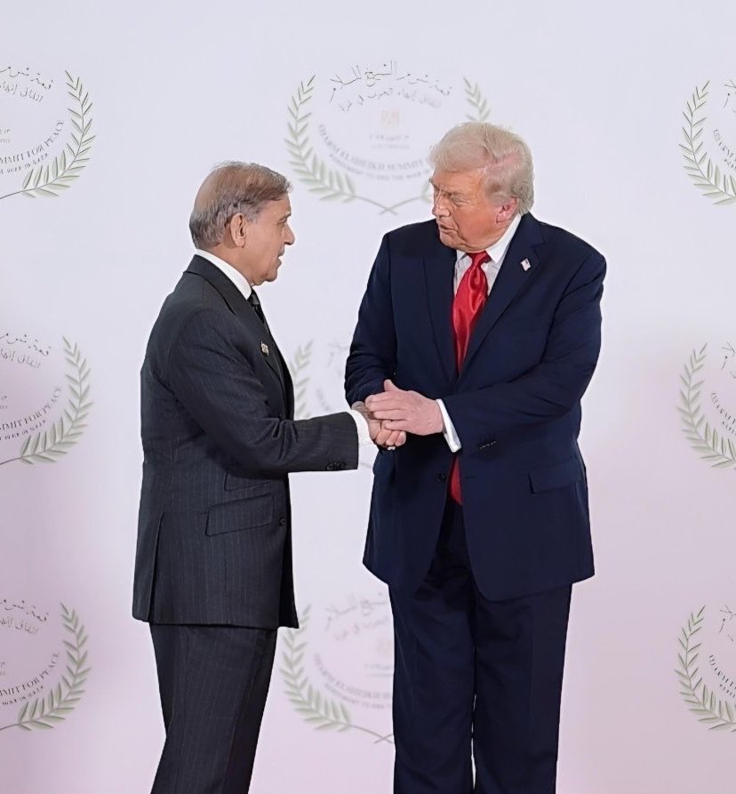 Mahnoor Sheikh tweet media