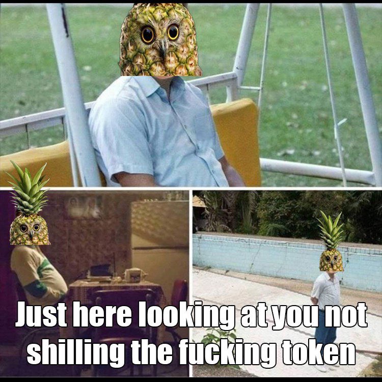 PINEOWL 🍍🦉 tweet media