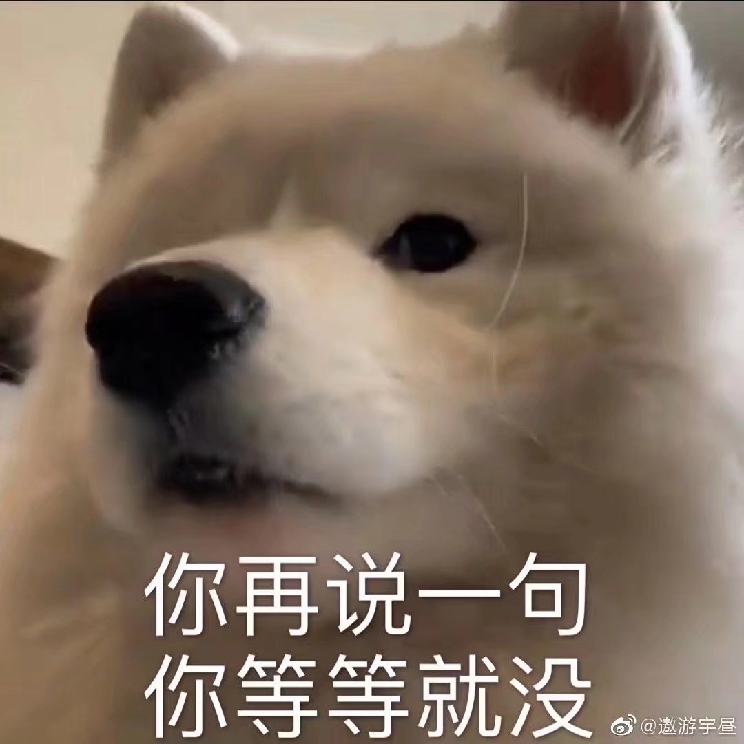 Shikalvu's tweet photo. 减脂期以后，就开始了被迫早睡，因为晚上很饿，情绪很差，睡得晚情绪会更差… https://t.co/nxrztNO8co