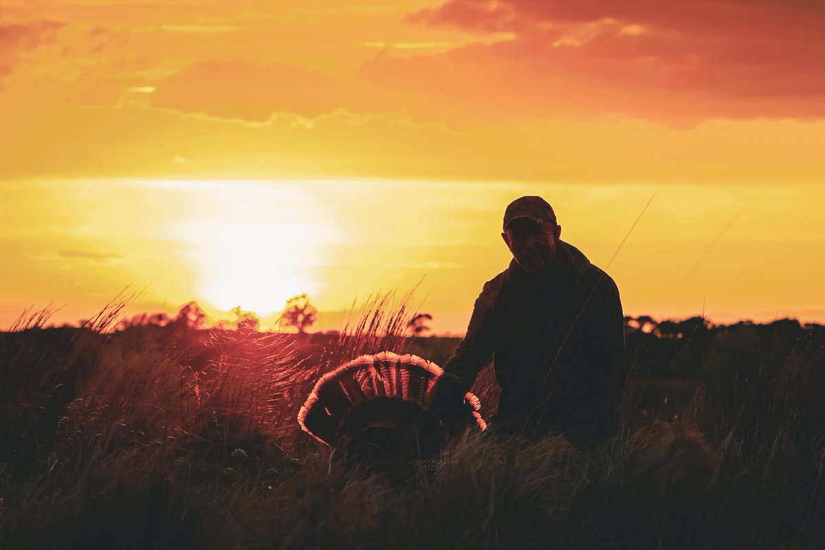Bohning Archery tweet media