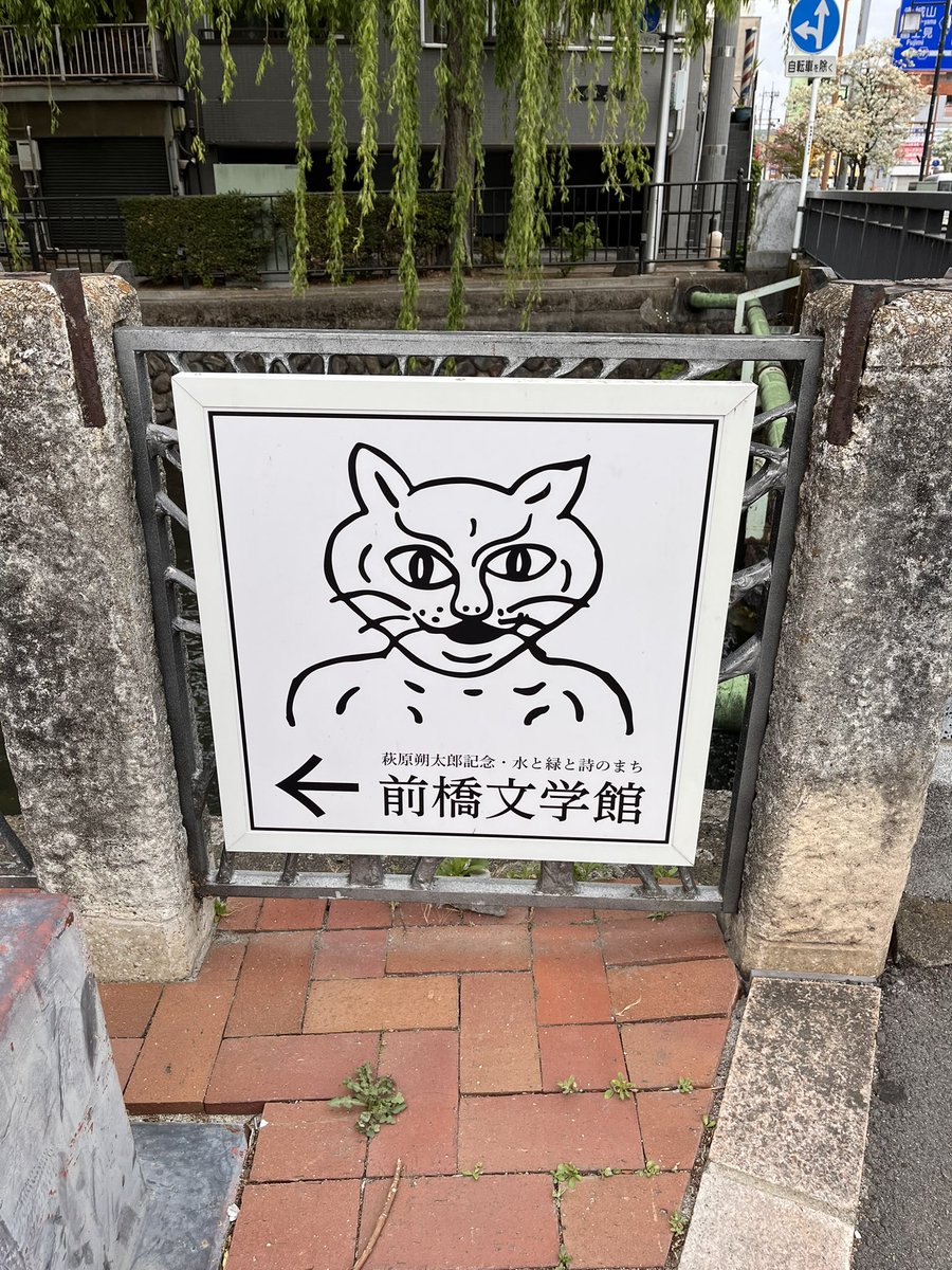 Nekogames tweet media