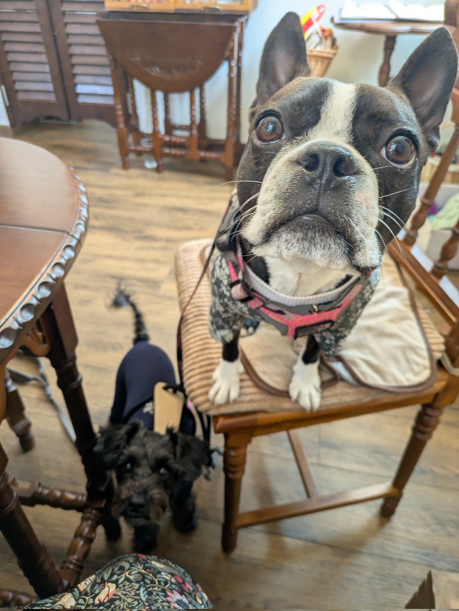 Ｋ(仮名)【ピエラー】 tweet media