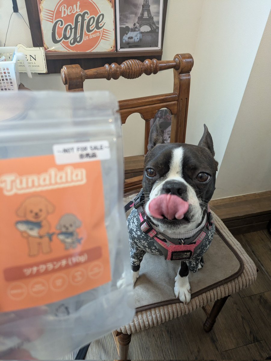 Ｋ(仮名)【ピエラー】 tweet media