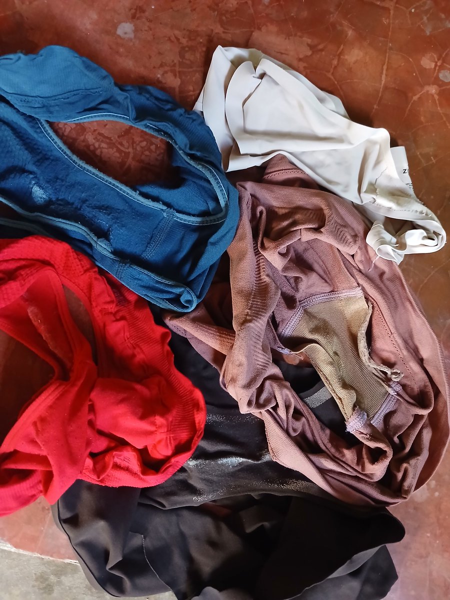 cataleyacampeche tweet media