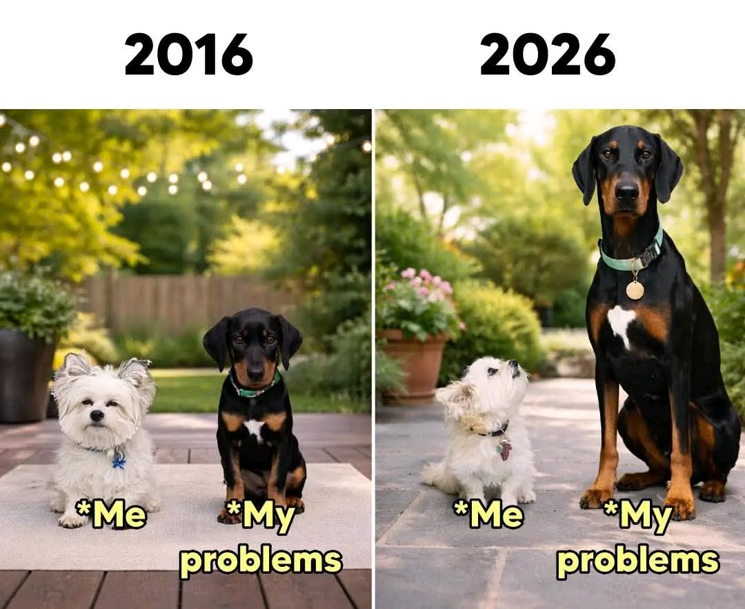 𝗥𝗮𝗶𝗪𝗼𝗹𝗳🀄 tweet media