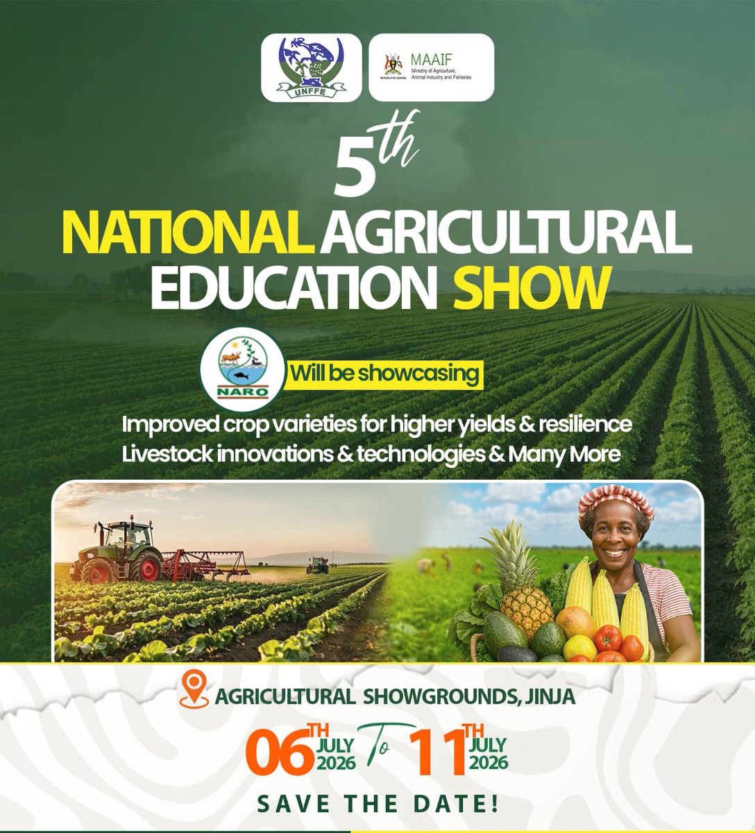 FD TV Media tweet media