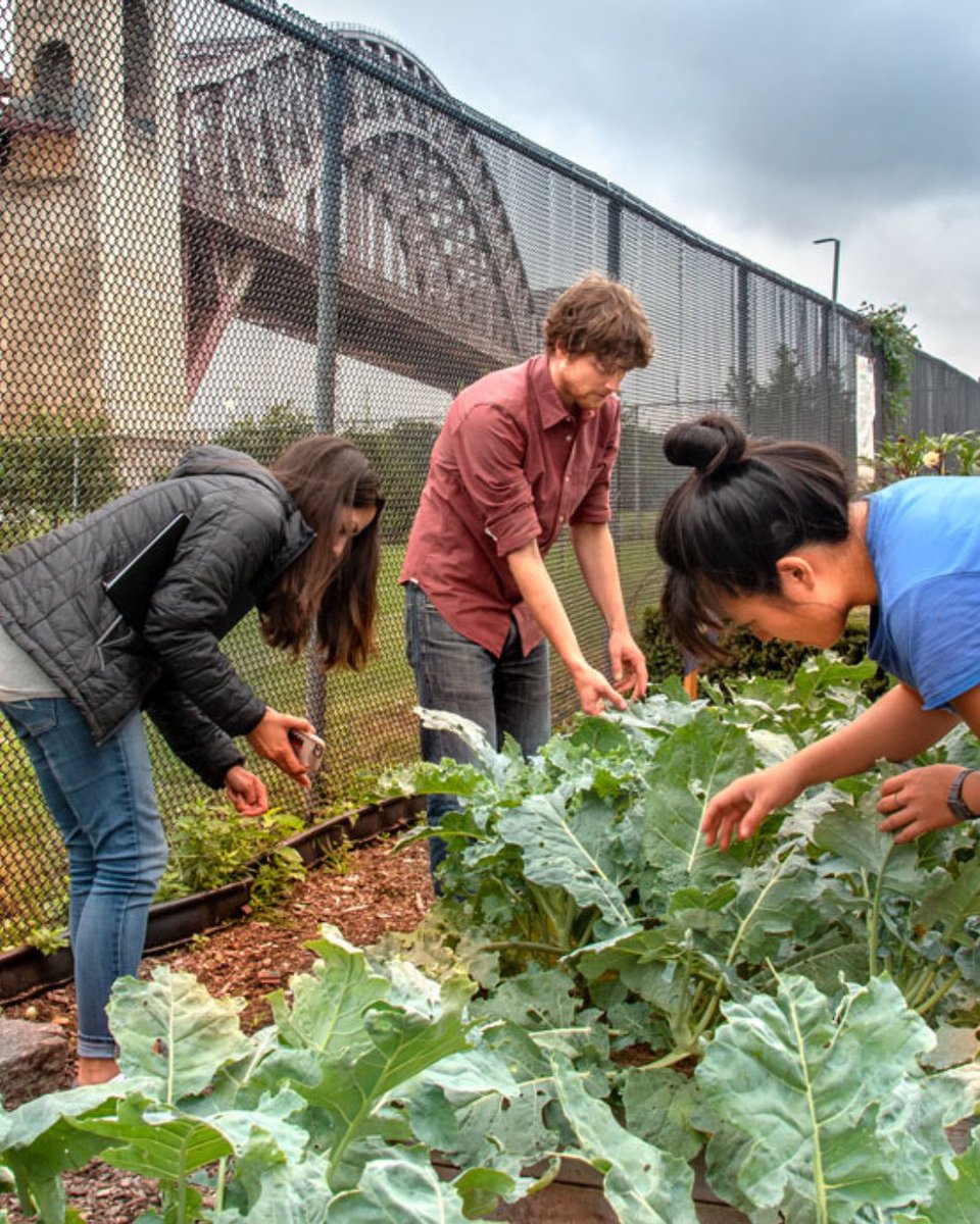 CornellMPH's tweet photo. Happy Earth Day 🌍

At Cornell Public Health, our One Health approach recognizes that protecting ecosystems, supporting communities, and improving health outcomes all go hand in hand.

Learn more about Cornell Public Health: https://t.co/pwCqTmWCBK https://t.co/yje1k4KYKw