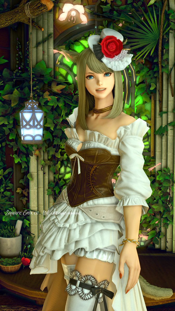 Tomotan@Belias tweet media