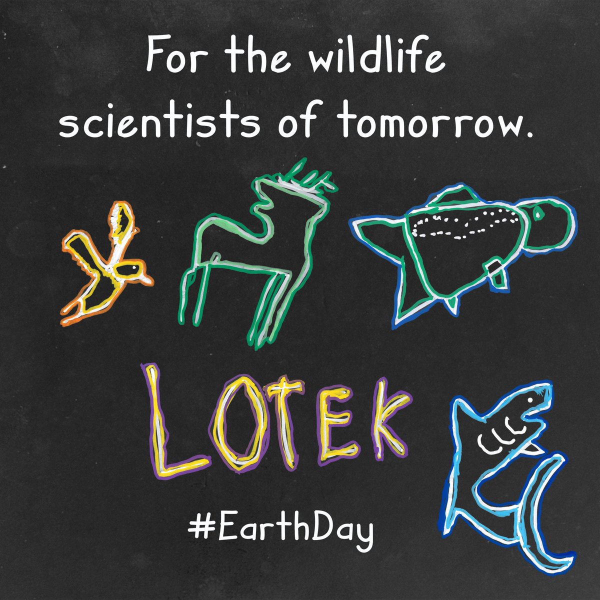 LotekWireless's tweet photo. Let’s protect the planet for the youngest wildlife scientists: the ones who will soon inherit it 🌎

#EarthDay #AdvancingWildlifeScience #LotekTelemetry https://t.co/9yXVSp8ASJ