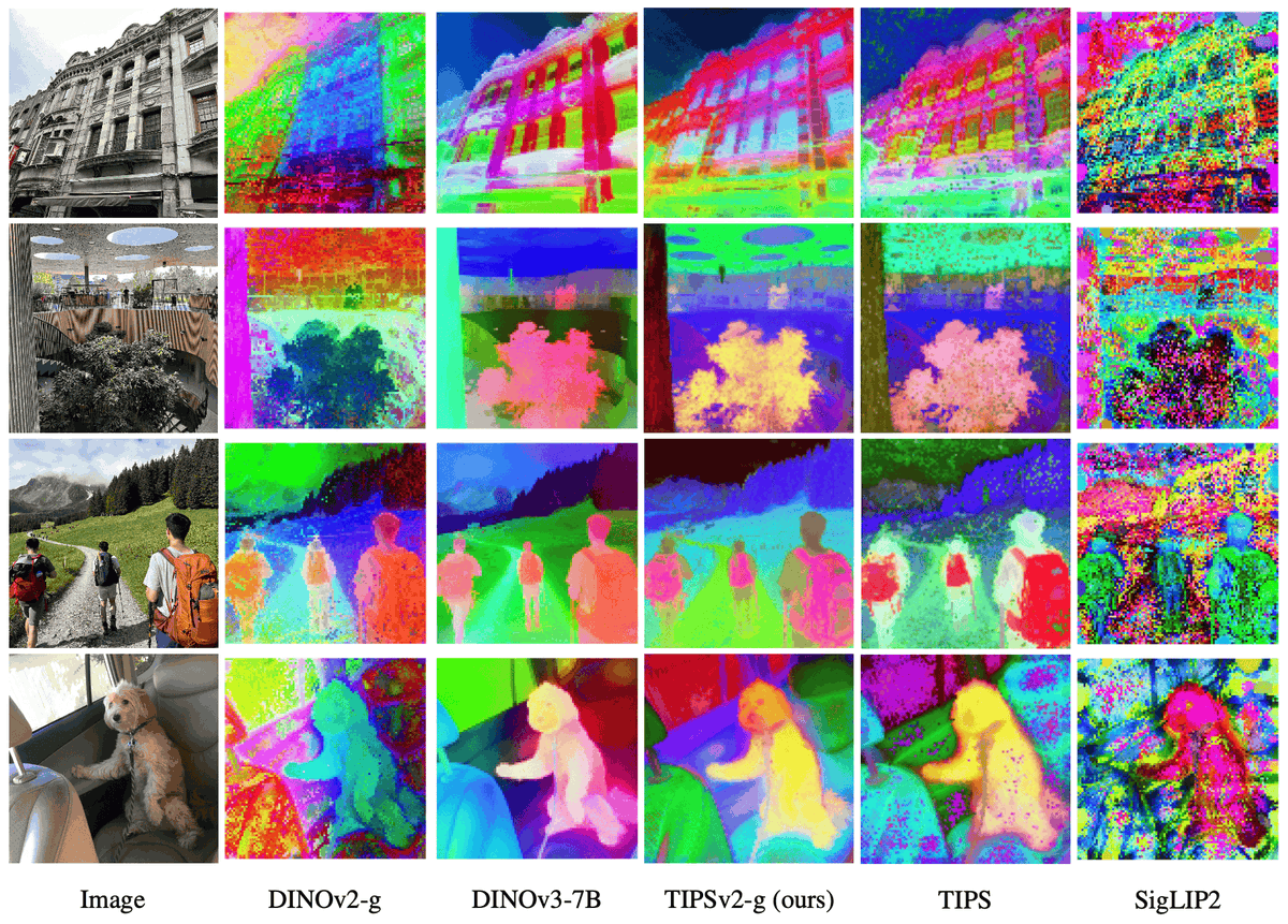 massiviola01's tweet photo. TIPS and TIPSv2🚨

Last week, @GoogleDeepMind released TIPSv2, their latest suite of image-text encoders with spatial awareness.

You already know the deal here: fancy feature maps, SOTA along many tasks and benchmarks, and open source for all of us to use.

But what makes this line of work special?