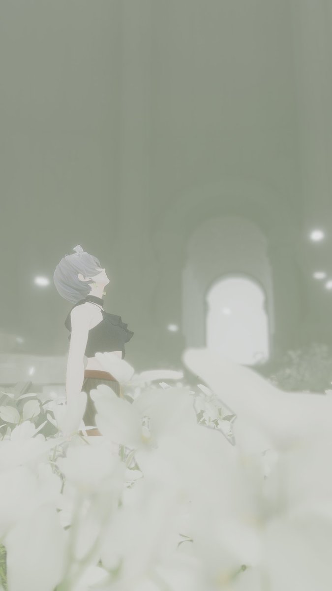 れい しあん🌱🍵 tweet media