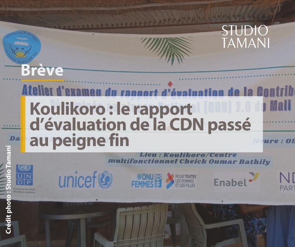 StudioTamani's tweet image. #Mali Depuis ce mercredi 22 avril, #Koulikoro accueille un atelier de deux jours consacré à l’examen du rapport d’évaluation de la Contribution déterminée au niveau national (𝐂𝐃𝐍).

𝐋𝐢𝐫𝐞 📖 𝐥𝐚 𝐬𝐮𝐢𝐭𝐞 𝐬𝐮𝐫 👇 tinyurl.com/2tynrbu2