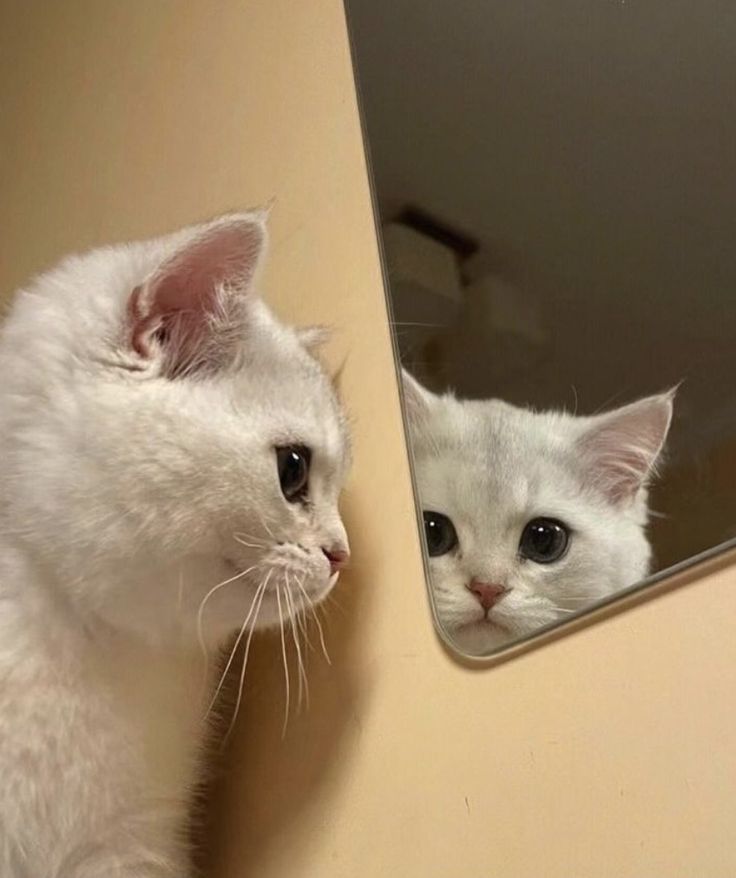 Who are you?