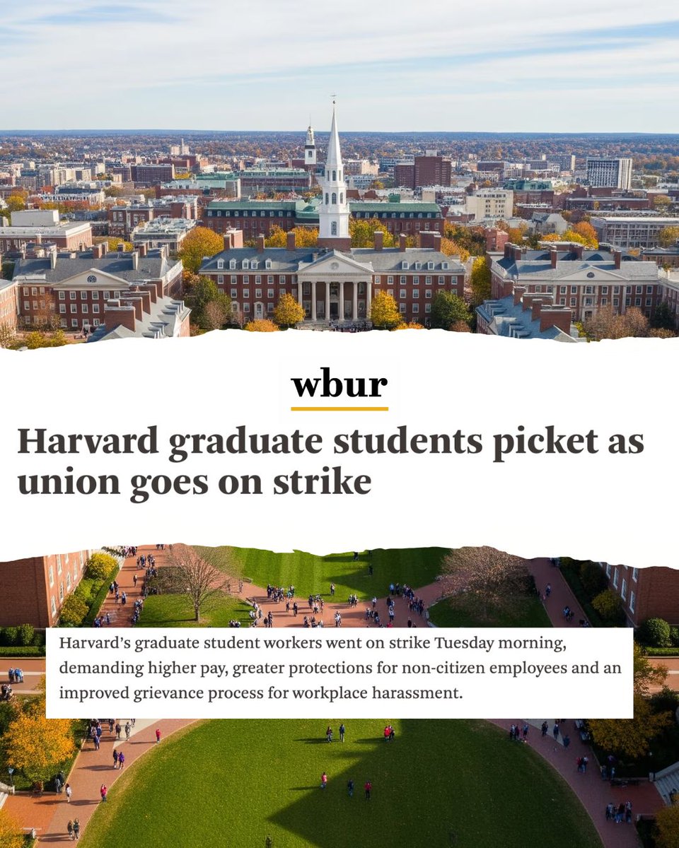 Ed Markey tweet media