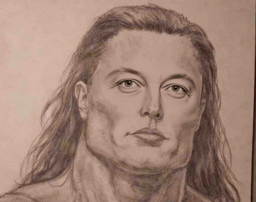 Not Elon Musk tweet media
