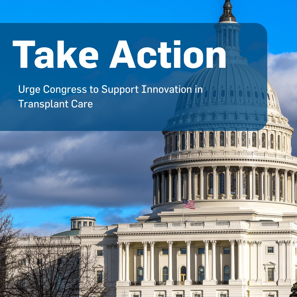 American Society of Transplantation (AST) tweet media