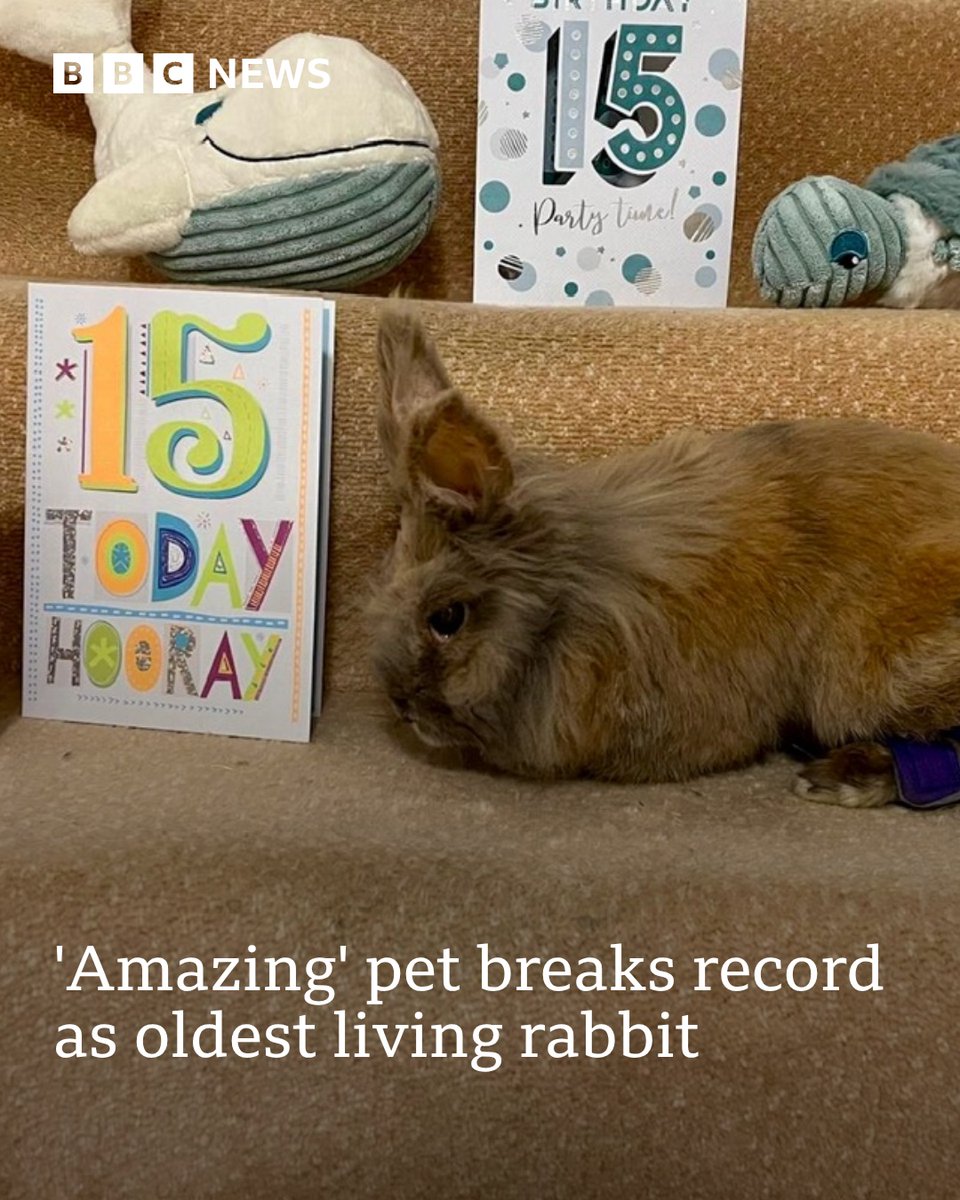 BBC Surrey tweet media