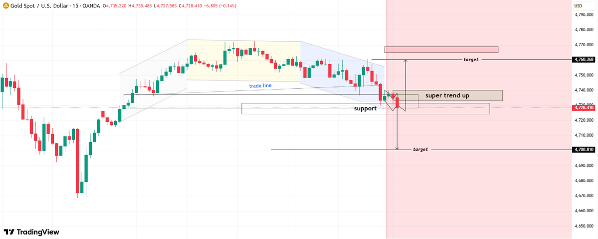 #XAUUSD #GOLD 

Trading Strategy:

Sell on pullbacks to resistance levels (4,740–4,750)

Stop Loss: Above 4,760

Target Levels: 4,725 → 4,710 → 4,700

Summary:

After a period of range-bound trading, momentum has turned bearish. Unless the price retraces back into the broken