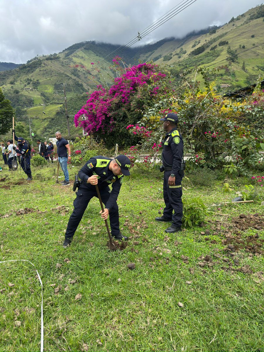 PoliciaChoco's tweet photo. 🌎💚 En el Día Mundial de la Tierra, en el municipio del #CarmenDeAtrato, junto con la Alcaldía Municipal, Secretaría de Medio Ambiente, Bomberos, Defensa Civil, Club de Caminantes e instituciones educativas realizamos siembra de árboles en el sendero Corazón de María. 🌱🌳 https://t.co/JV8nYxK1Pe