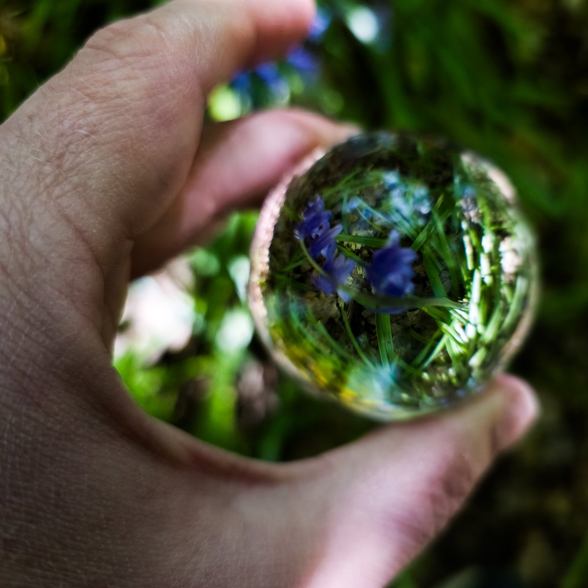 iamIRONSman's tweet image. Touched grass on my lunch break and brought a ball shaped prism with me as well as the PA092 case and filter mount from @neewerofficial for the S25Ultra. 
#shotonsnapdragon #WithGalaxy #Neewer