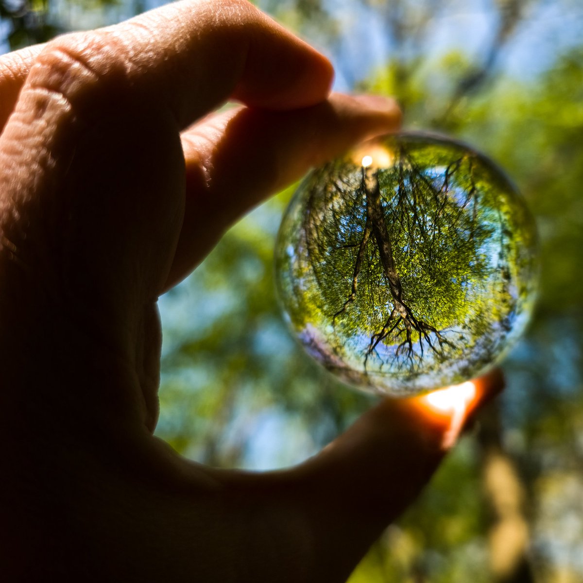 iamIRONSman's tweet image. Touched grass on my lunch break and brought a ball shaped prism with me as well as the PA092 case and filter mount from @neewerofficial for the S25Ultra. 
#shotonsnapdragon #WithGalaxy #Neewer