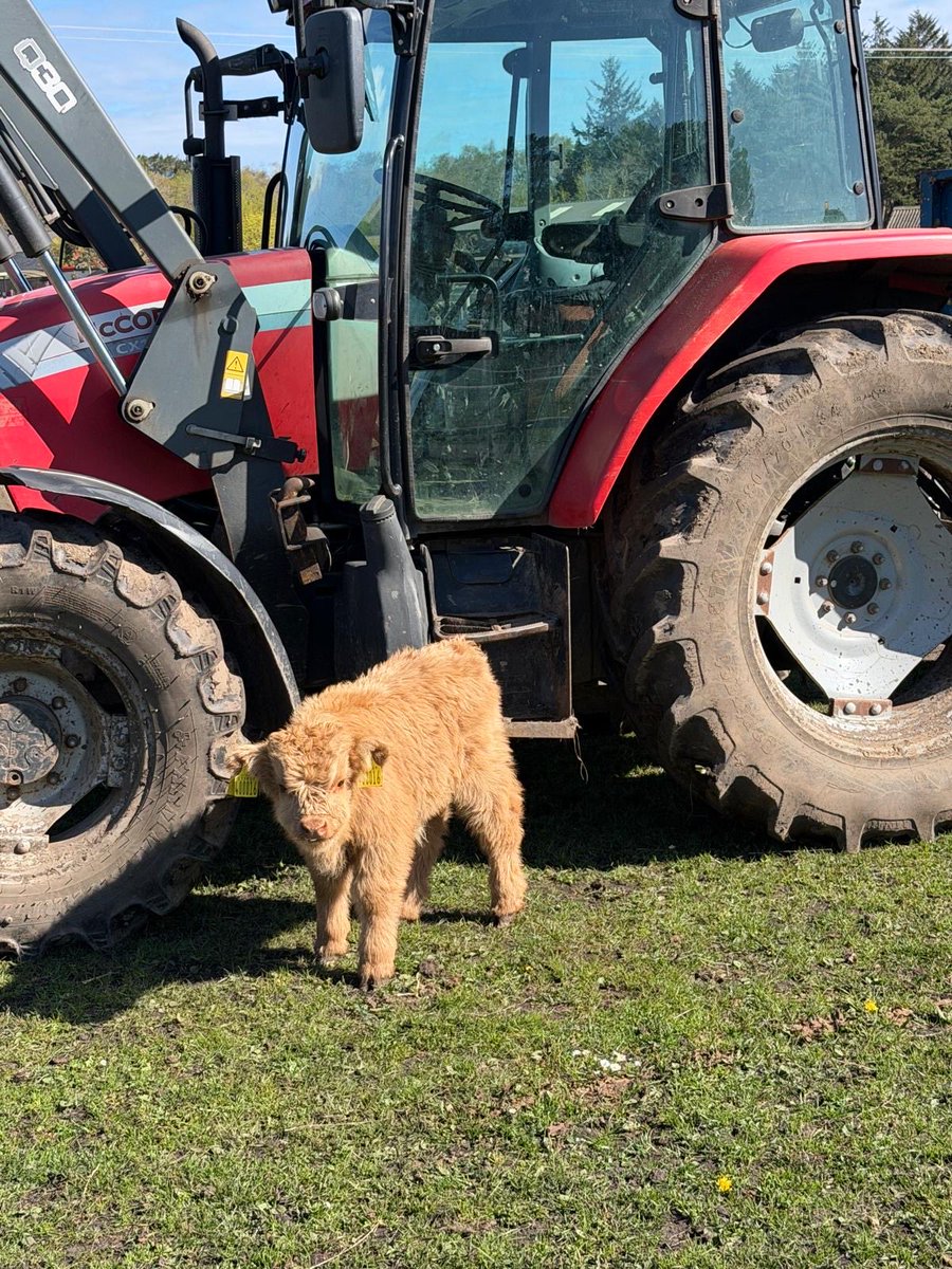 MatlockFarmPark's tweet photo. Here’s our Eric! 😍 https://t.co/SqZv16cuN5